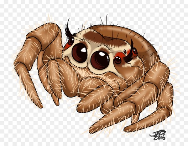 Мультяшные паучки