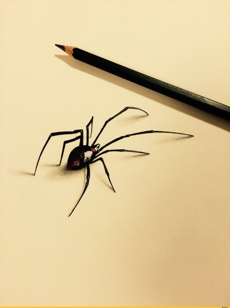 Паук карандашом