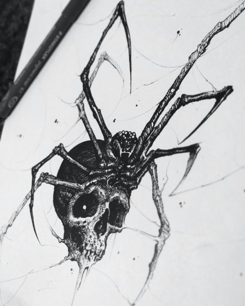 Паук в графике