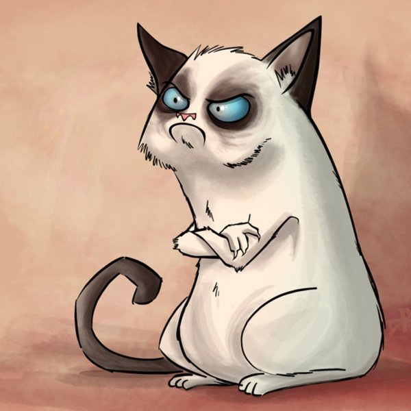 Мультяшные коты