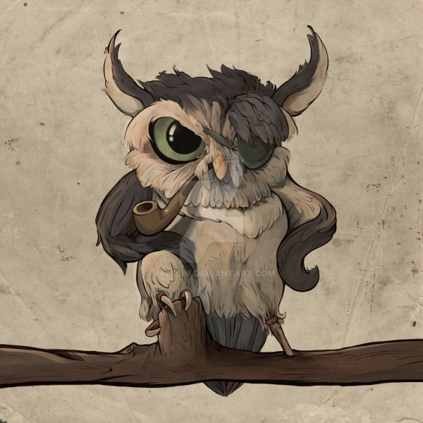 Сумасшедшая Сова