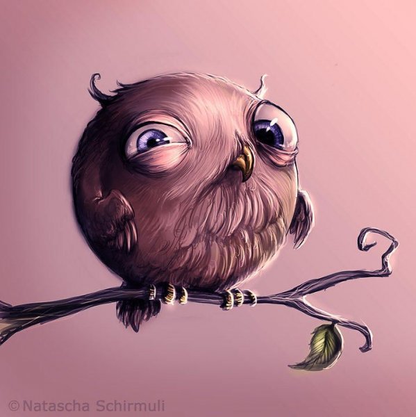 Смешная птица арт