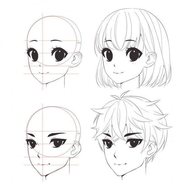 Форма лица для рисования аниме