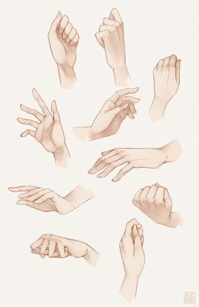 Референсы рук