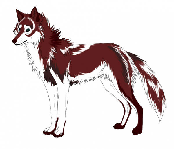 Красивые мультяшные волки