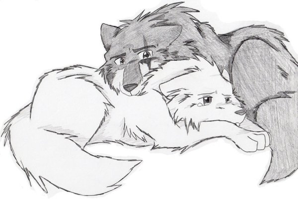 Волк карандашом для срисовки