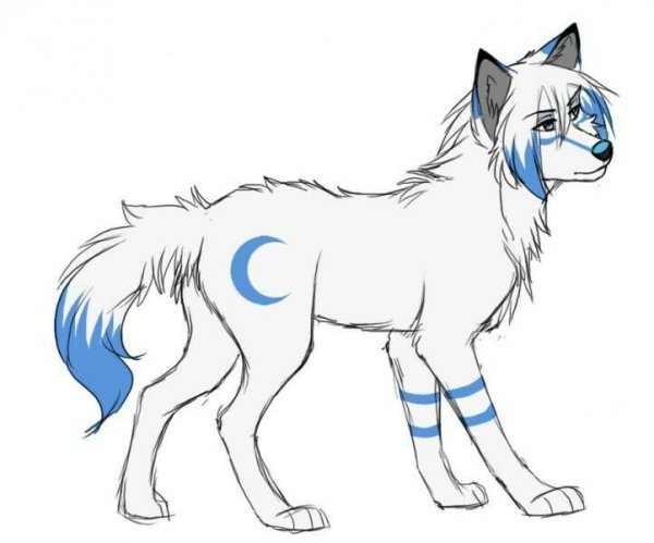 Аниме волки для срисовки