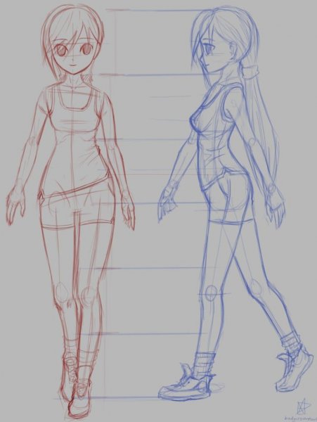 Анатомия аниме