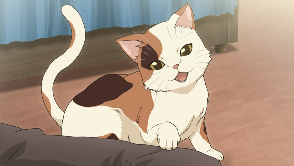 Меланхолия Харухи Кэт