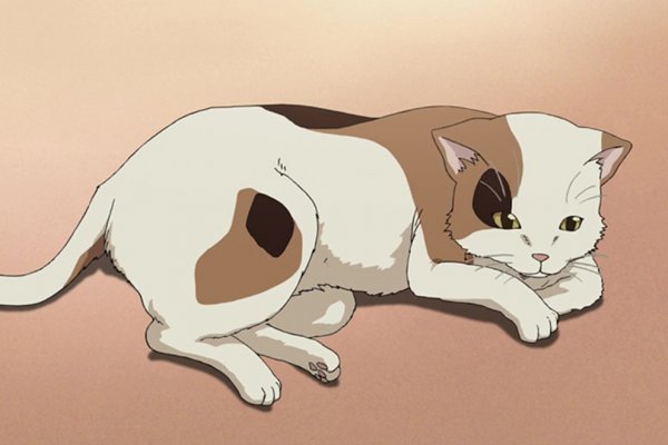 Аниме кот