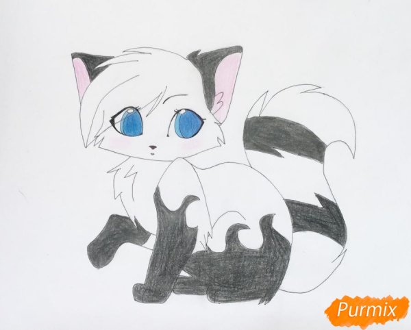 Аниме котики карандашом