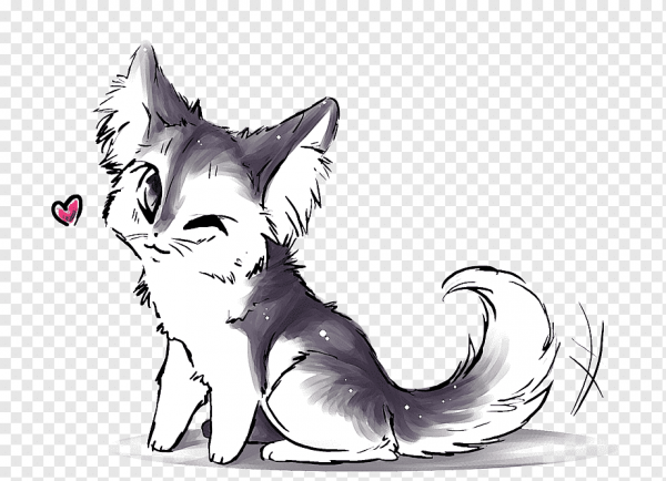 Аниме кот эскиз