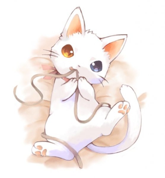 Котята аниме