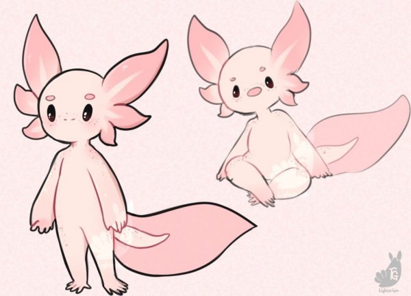 Аксолотль референсы