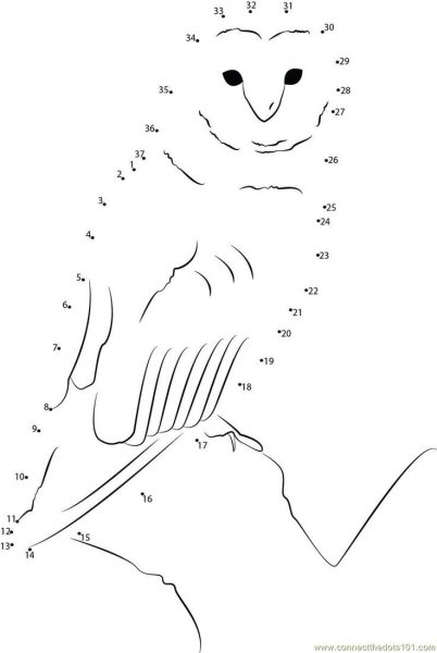 Рисование по точкам Гарри Поттер