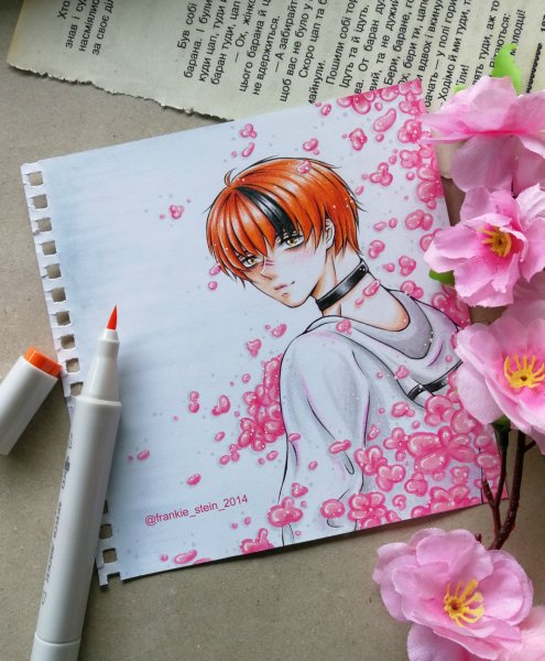 Франклин Сюзанна