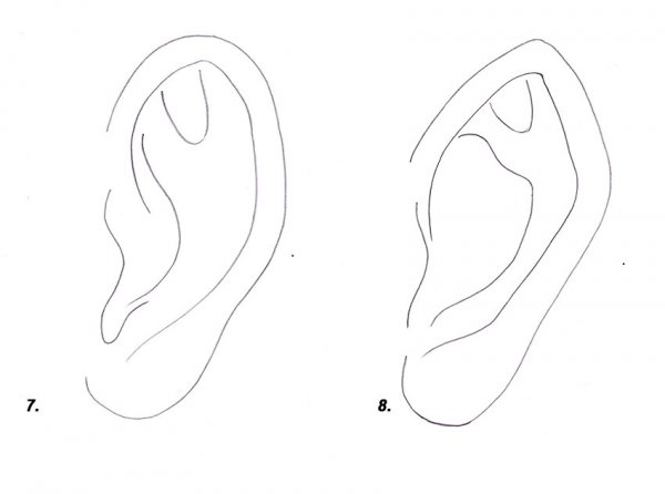 Поэтапное рисование ушей