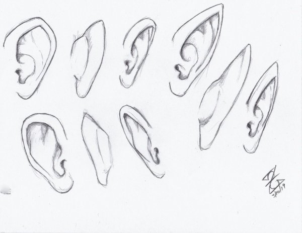 Уши эльфа туториал