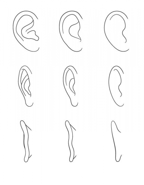 Поэтапное рисование ушей