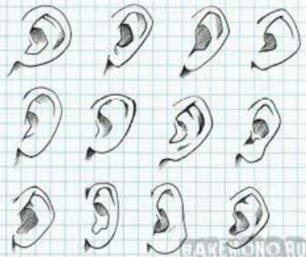 Аниме уши карандашом