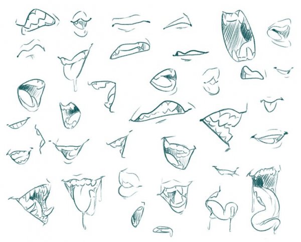 Туториал по рисованию ушей