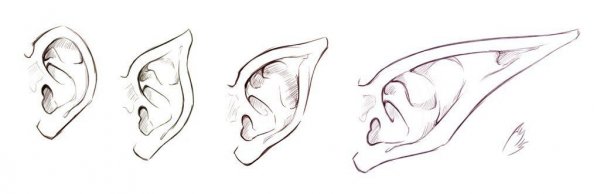 Референсы ушей эльфов