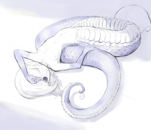 Ламия аниме анатомия