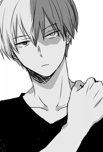 Тодороки шото чёрно белые