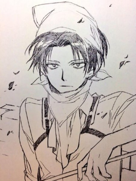 Леви Аккерман зарисовки