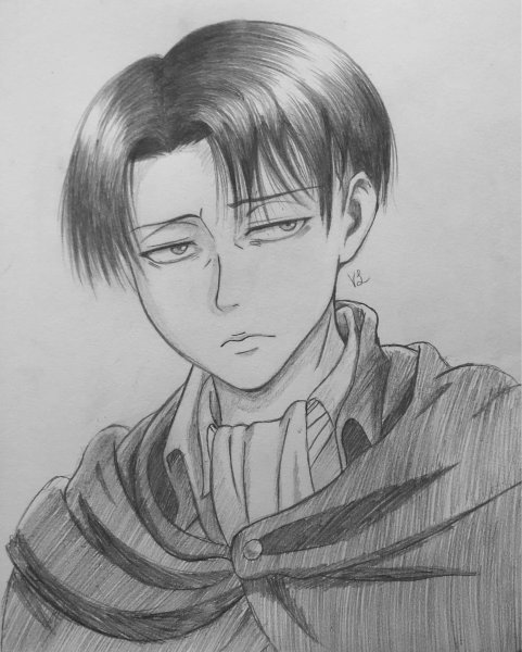 Рисовка Леви Аккерман