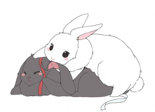 Кролики арты