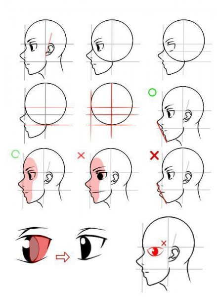 Туториал по рисованию головы аниме