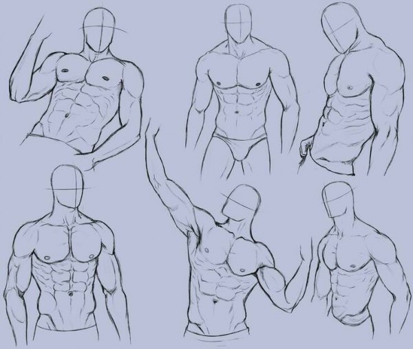 Референсы накаченного тела