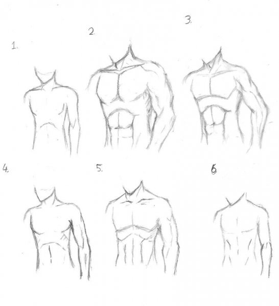 Схема рисования торса