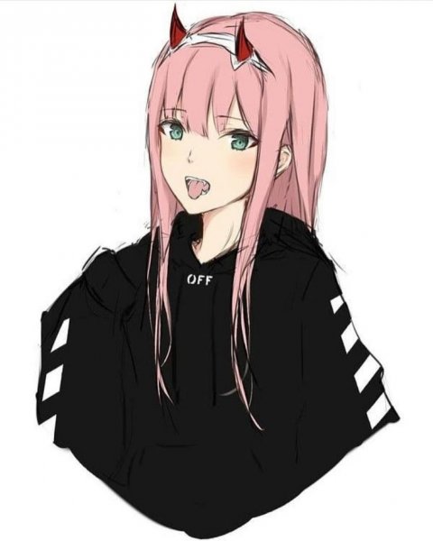 Zero two Hoodie
