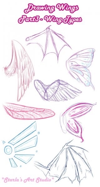 Крылья рисовка