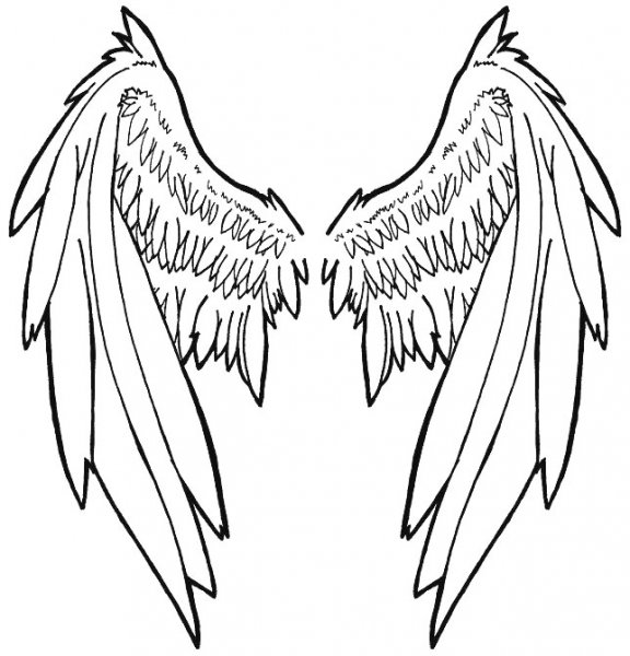 Крылья эскиз