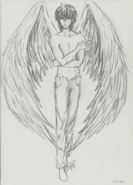 Рисунки для срисовки Крылья