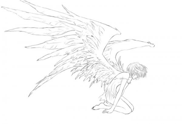 Аниме Крылья