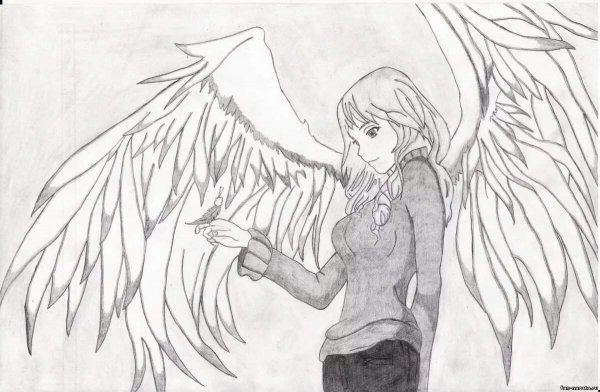 Рисунки карандашом для срисовки ангел