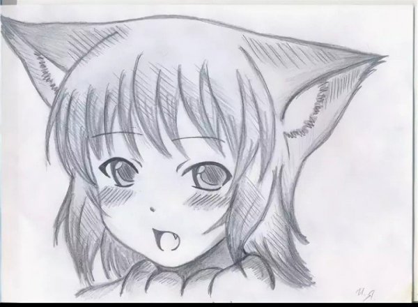 Рисунки карандашом аниме девушек кошек