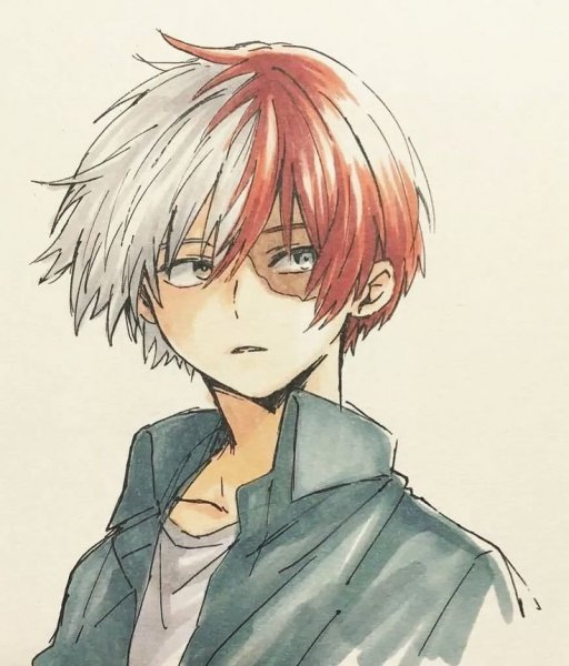 Тодороки шото аниме