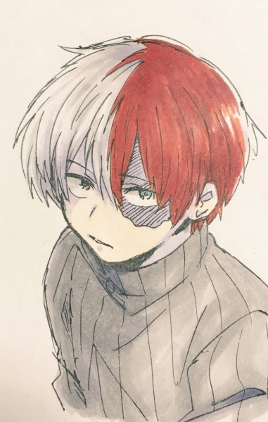 Тодороки шото маленький