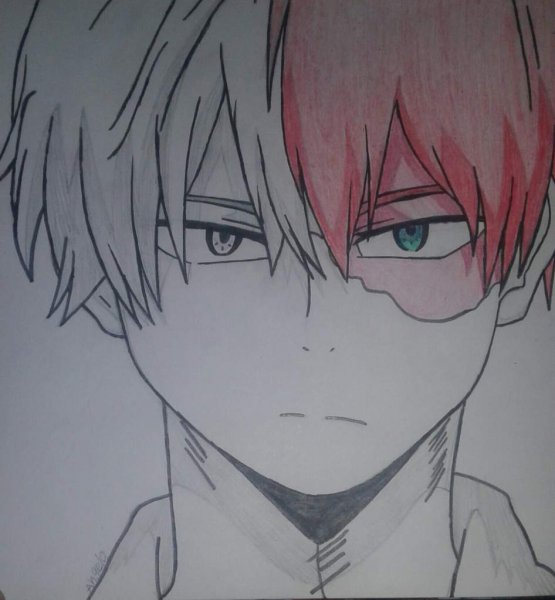 Тодороки кун улыбка