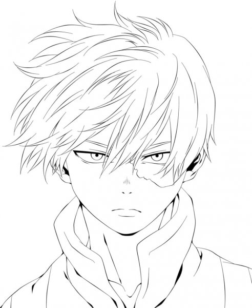 Аниме моя геройская Академия Тодороки