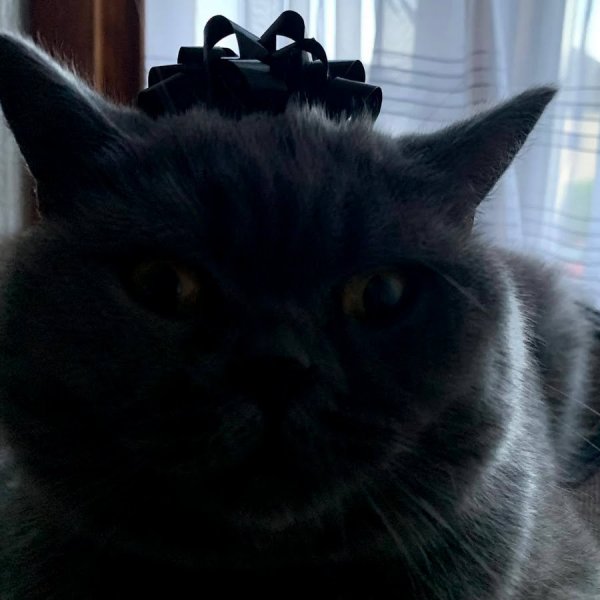 Haikyuu Карасуно