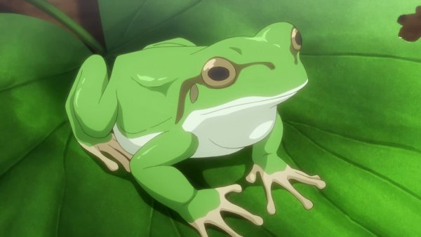 Жаба из аниме