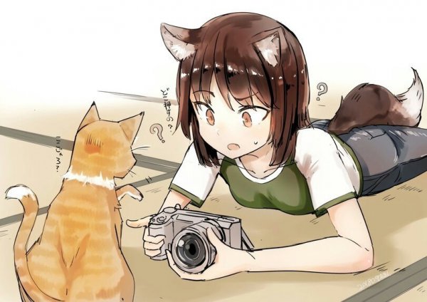 Хозяин и кошка аниме