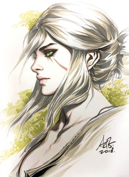 Цири книжная