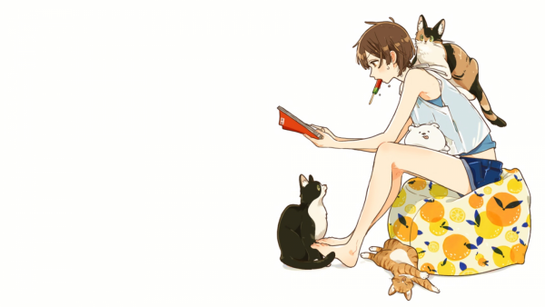 Аниме котики девушки